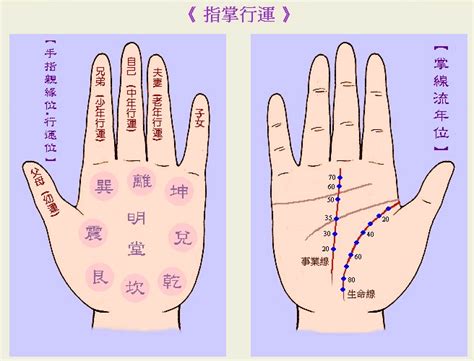 睇掌|教你睇掌相嘅掌型！ 五行手相的外形和性格特徵解。